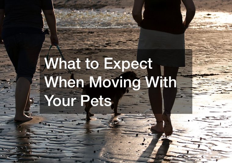 What to Expect When Moving With Your Pets