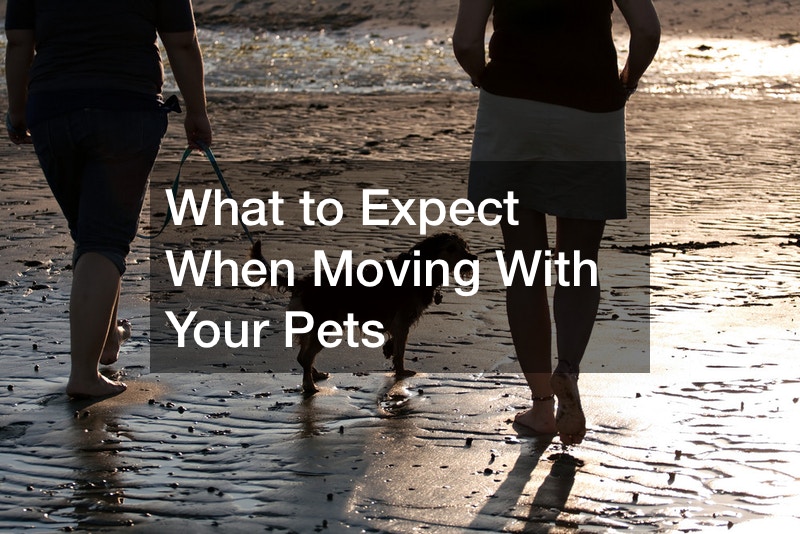 What to Expect When Moving With Your Pets