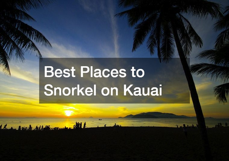 Best Places to Snorkel on Kauai