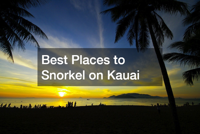 Best Places to Snorkel on Kauai