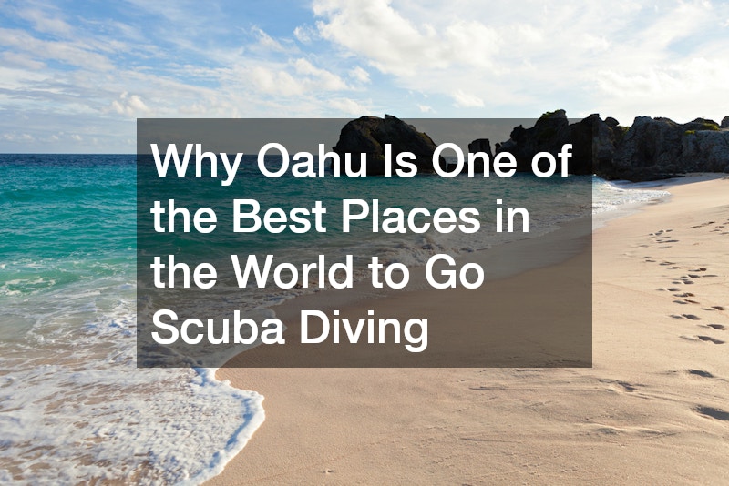 Why Oahu Is One of the Best Places in the World to Go Scuba Diving