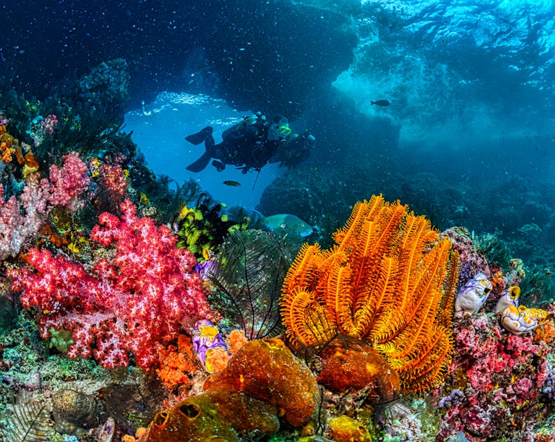 a beautiful and colorful diving spot
